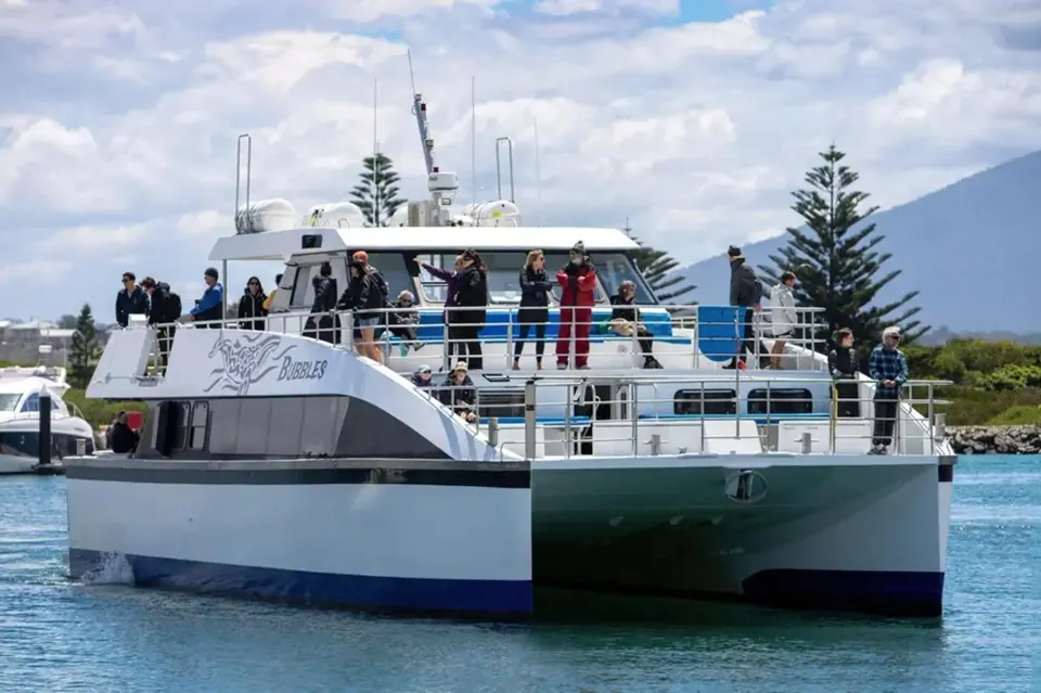 Go Whale Watching catamaran at the wharf